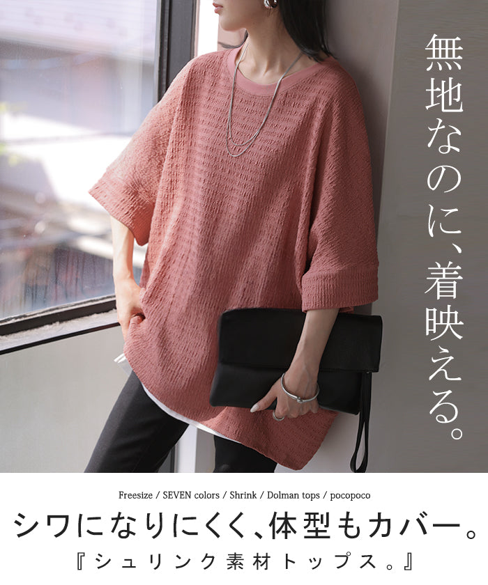 Tシャツ+カットソー(半袖+袖なし) L HIDDEN Paisley Tee 2026SS新作